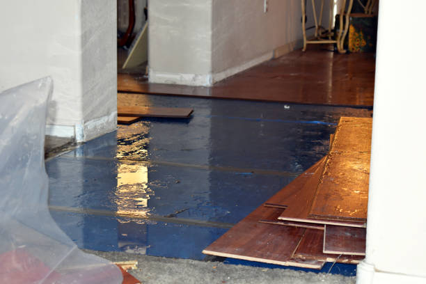 Professional Burst Pipe Cleanup technician working in Campaign, TN